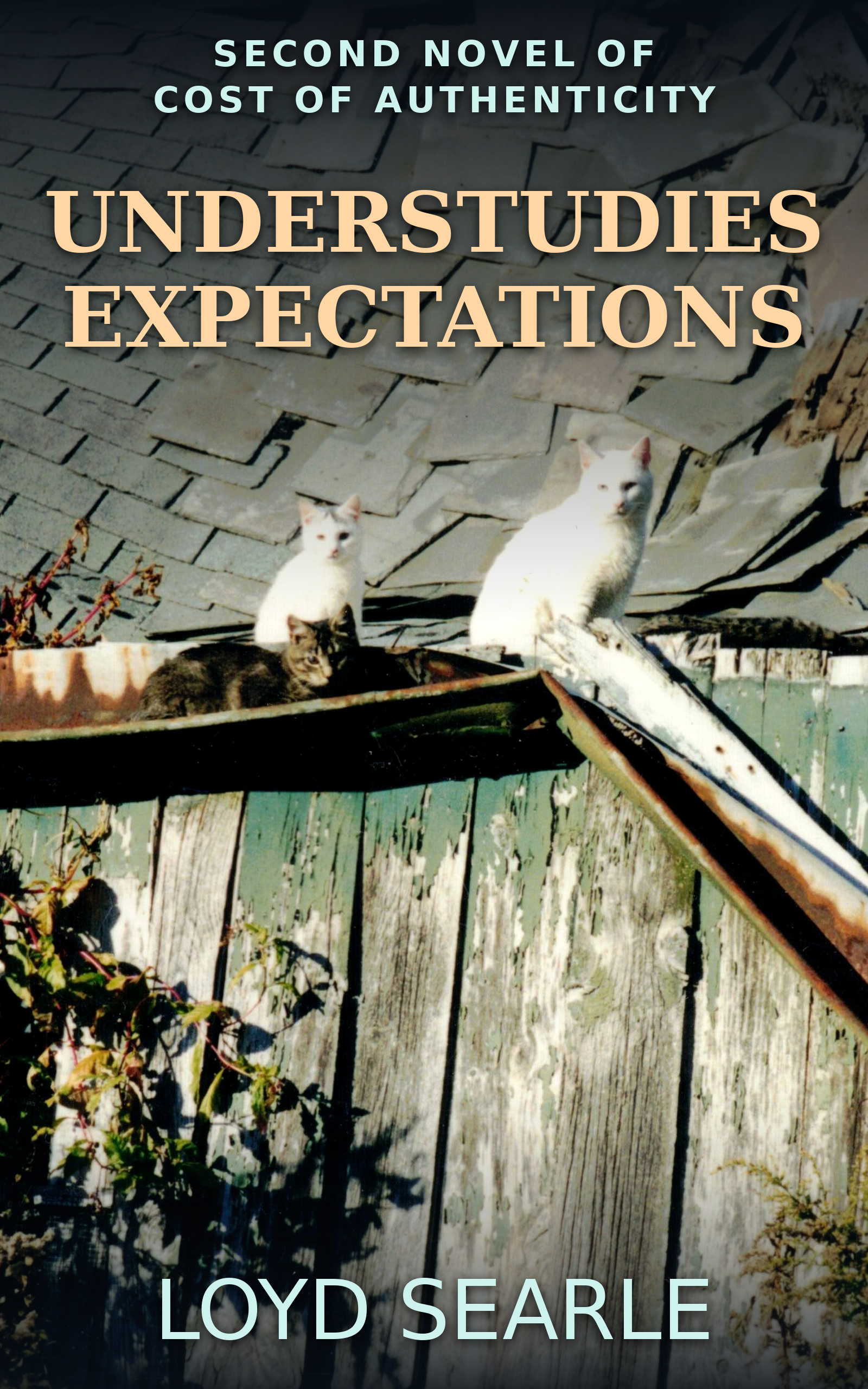 Cover of Understudies Expectations by Loyd Searle